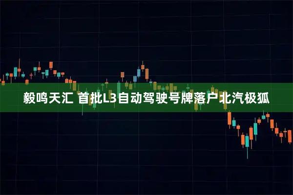 毅鸣天汇 首批L3自动驾驶号牌落户北汽极狐