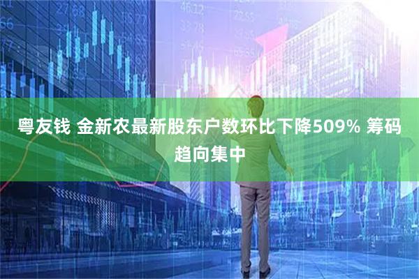 粤友钱 金新农最新股东户数环比下降509% 筹码趋向集中